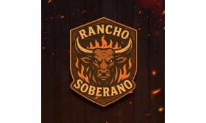 c16be3de657f6bf9311d8fcc1bd78513